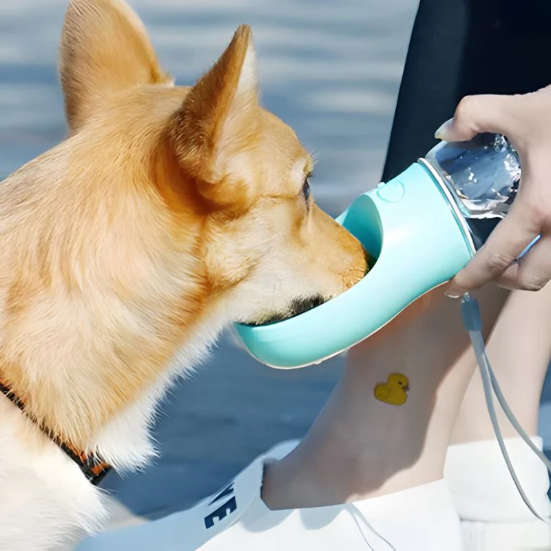 PetWater® 4 en 1 - Botella Portátil para Mascotas (ENVÍO GRATIS)