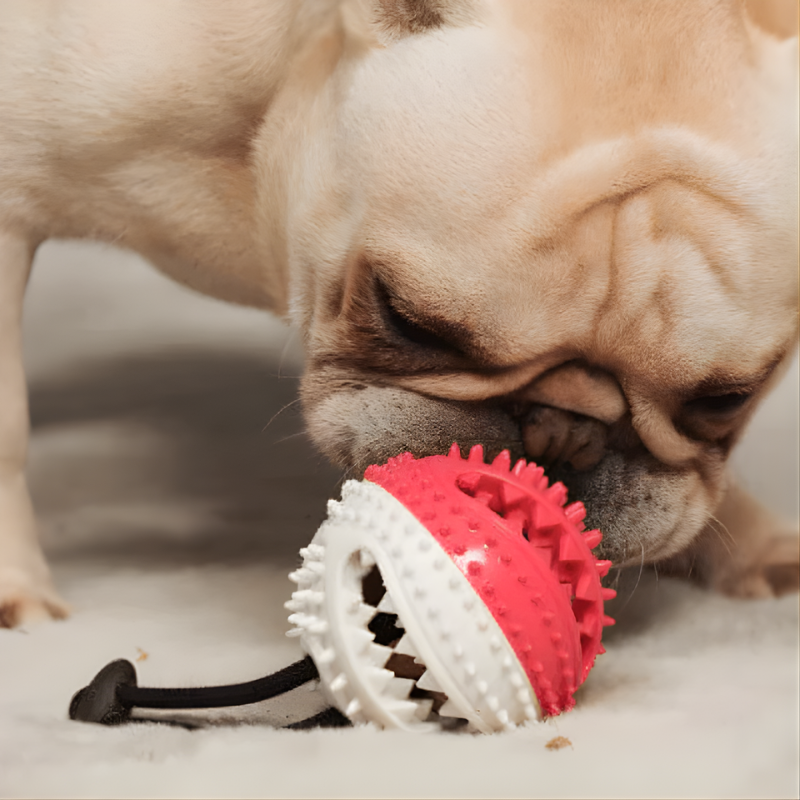 Cabo de Guerra para Perros - PupHappy