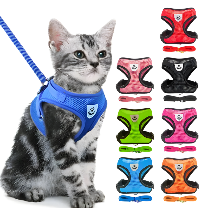 Collar para perros y gatos Ajustable - StreetPet™