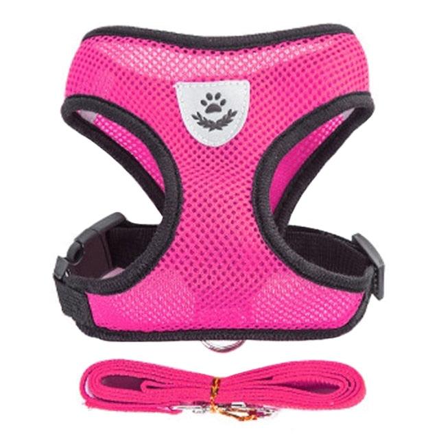 Collar para perros y gatos Ajustable - StreetPet™