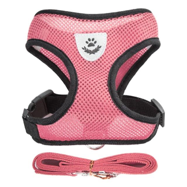 Collar para perros y gatos Ajustable - StreetPet™